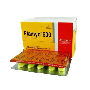 Flamyd500 mg