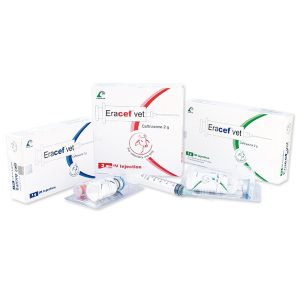 Eracef IM Injection 500mg/vial